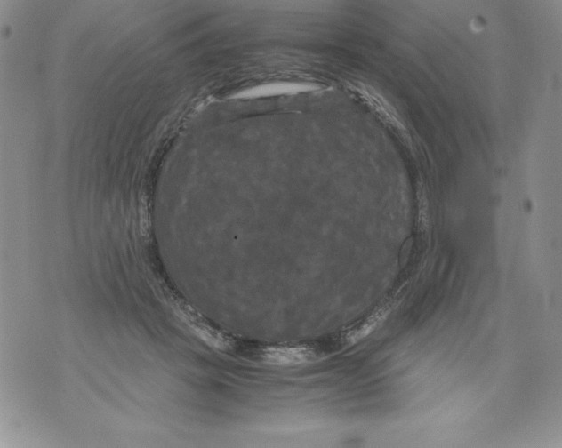 X0000071780457200607282242