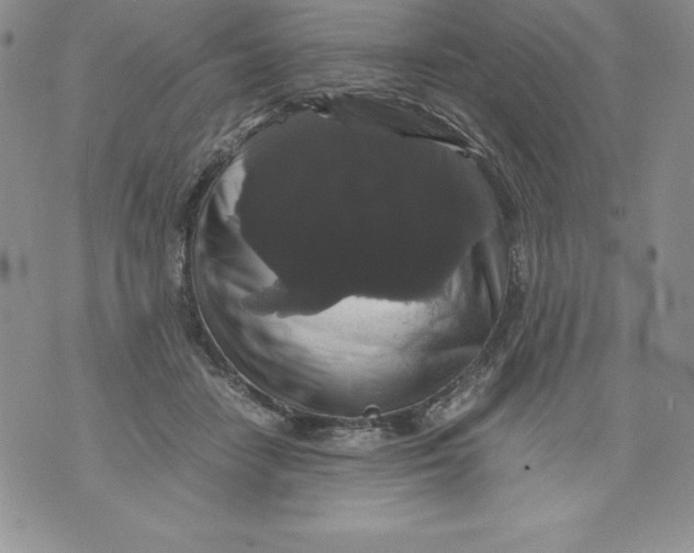 X0000071780458200607282242