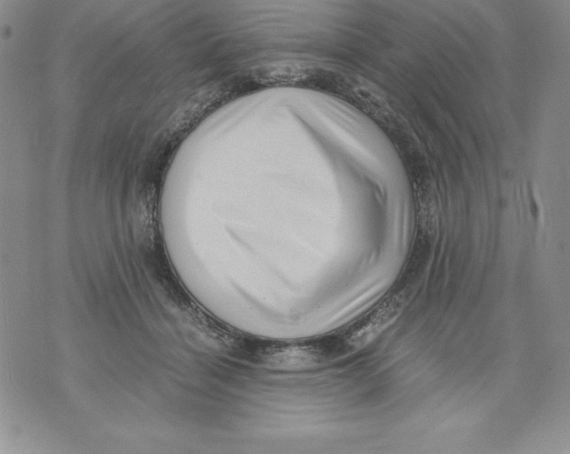 X0000071780460200607282242