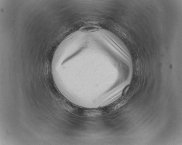 X0000071780463200607282242