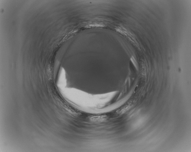 X0000071780465200607282242