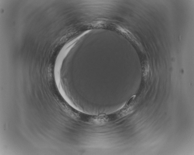 X0000071780466200607282242