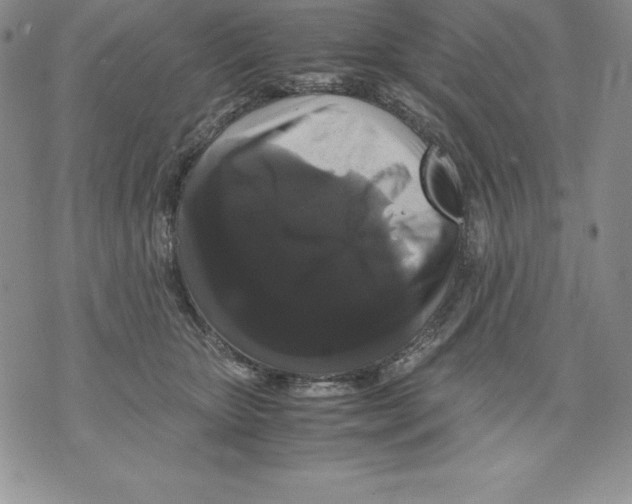 X0000071780467200607282242