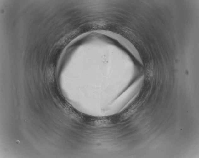 X0000071780468200607282242