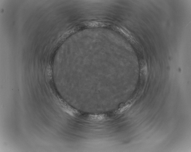 X0000071780469200607282242