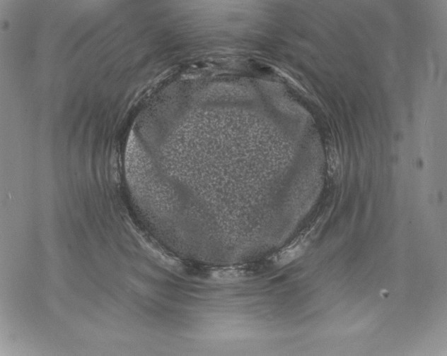 X0000071780470200607282242