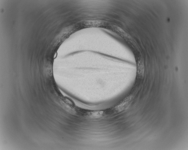 X0000071780474200607282242