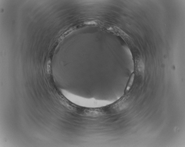 X0000071780475200607282242