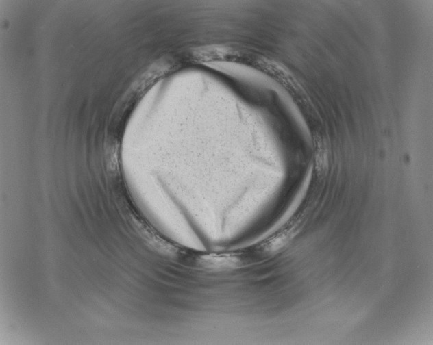 X0000071780477200607282242