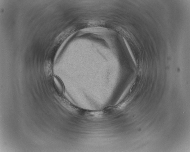 X0000071780478200607282242