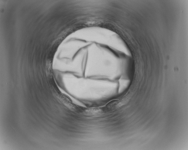 X0000071780480200607282242