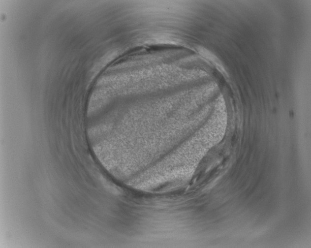 X0000071780481200607282242