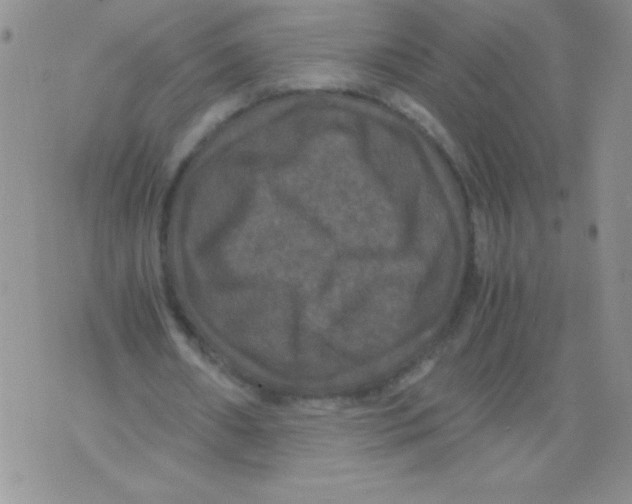 X0000071780482200607282242