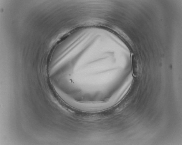 X0000071780485200607282242