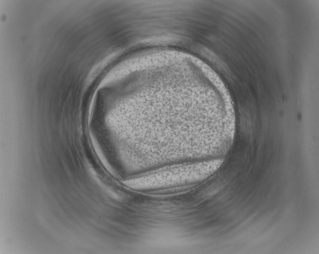 X0000071780486200607282242