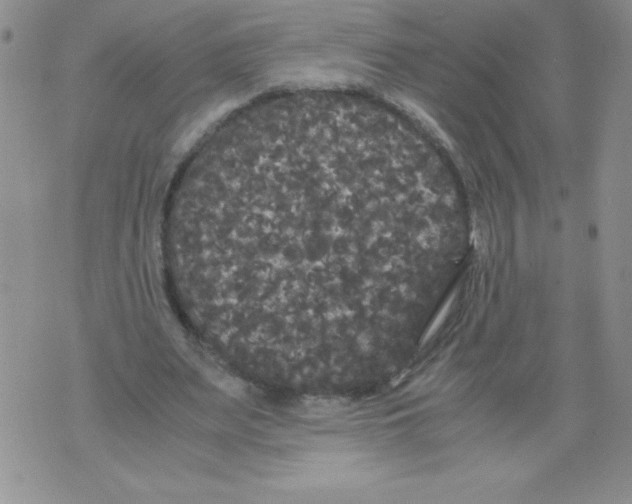 X0000071780487200607282242