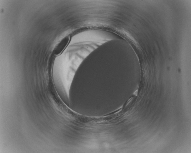 X0000071780488200607282242