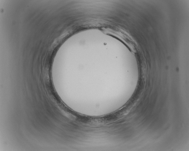 X0000071780489200607282242