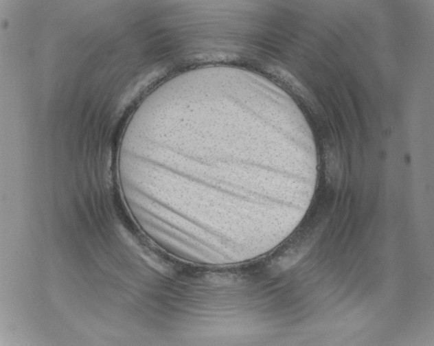 X0000071780490200607282242