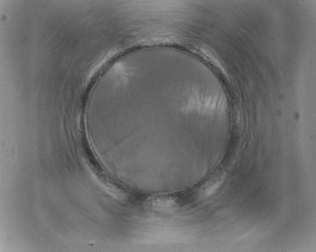 X0000071780491200607282242