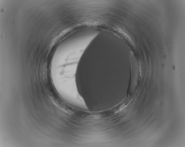 X0000071780492200607282241