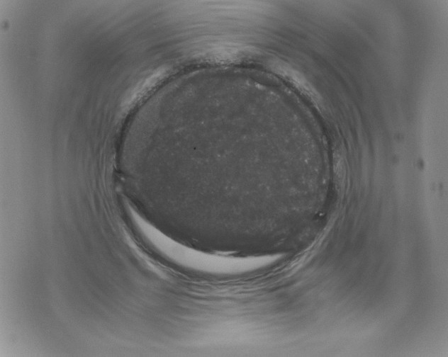 X0000071780493200607282241