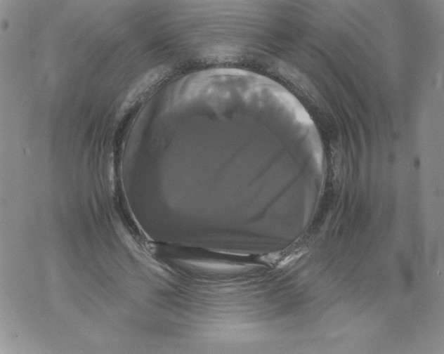 X0000071780494200607282241