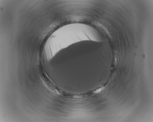 X0000071780496200607282241