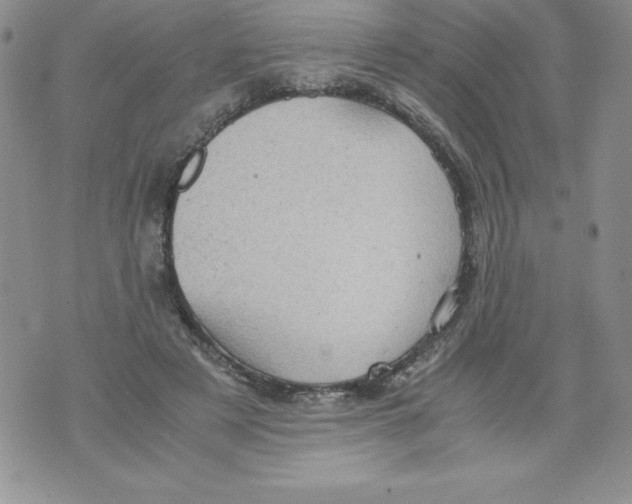 X0000071780497200607282241