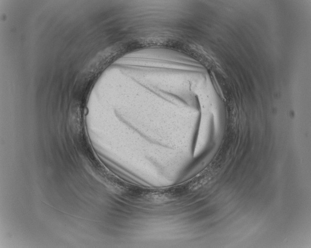 X0000071780498200607282241