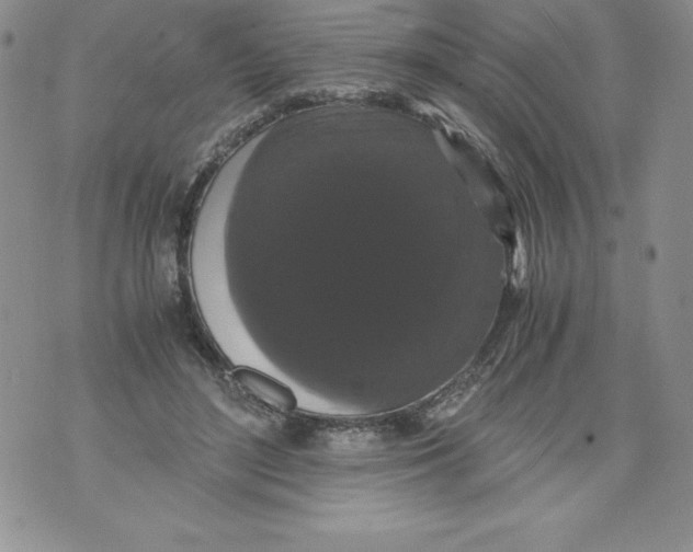 X0000071780500200607282241