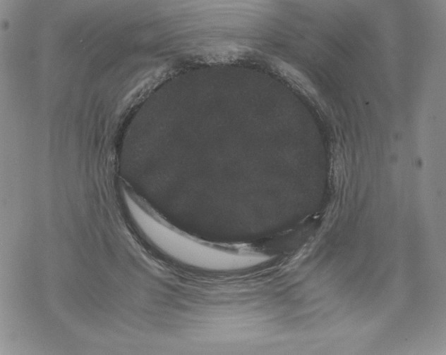 X0000071780501200607282241