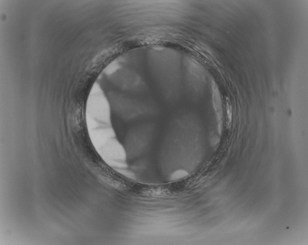 X0000071780503200607282241