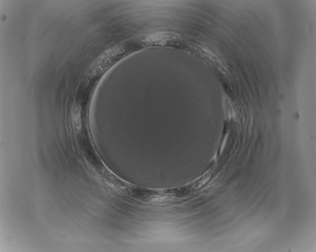 X0000071780504200607282241