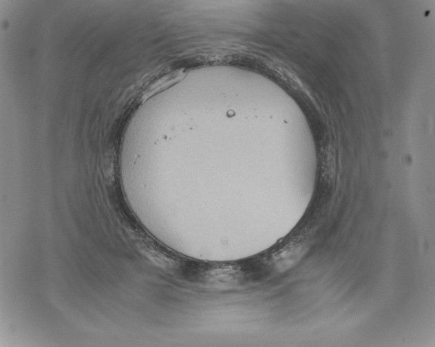 X0000071780505200607282241