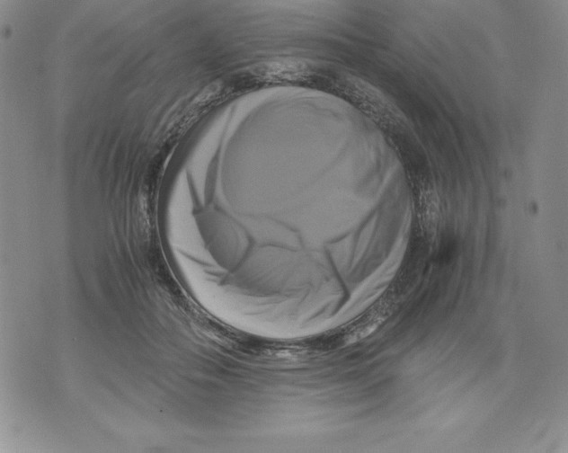 X0000071780506200607282241