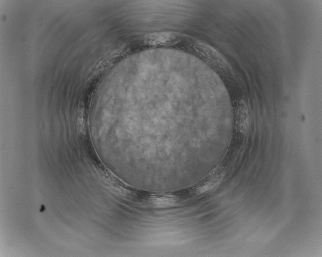 X0000071780510200607282241