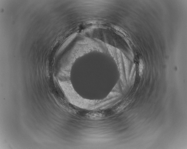 X0000071780512200607282241