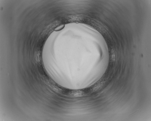 X0000071780514200607282241