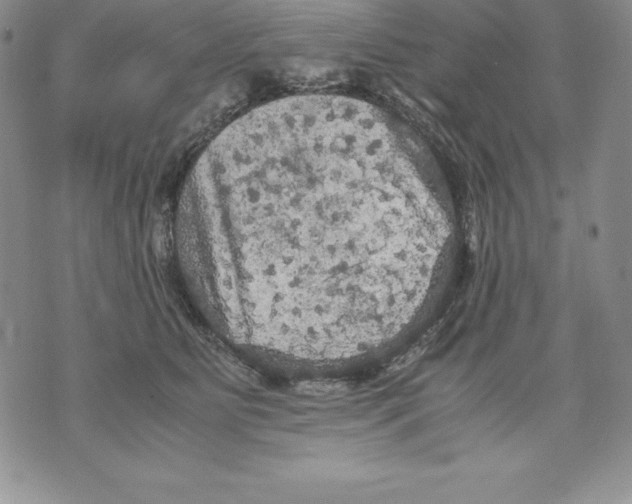 X0000071780515200607282241