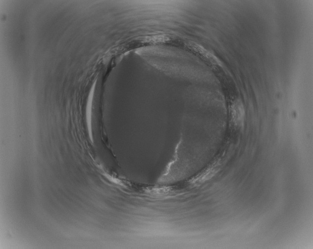 X0000071780517200607282241