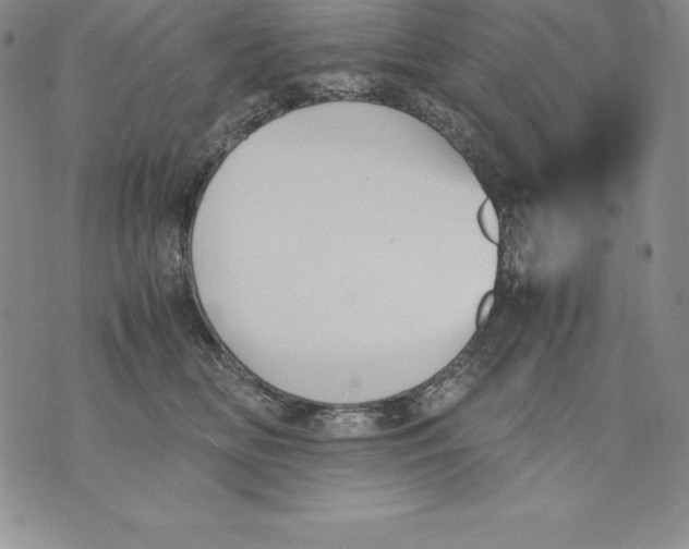 X0000071780518200607282241