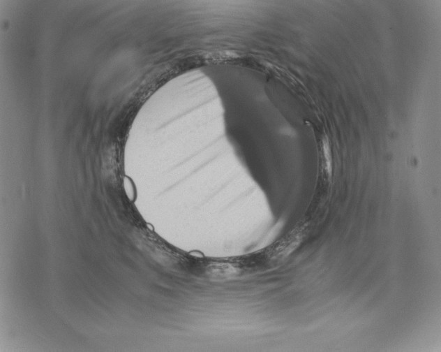 X0000071780519200607282241