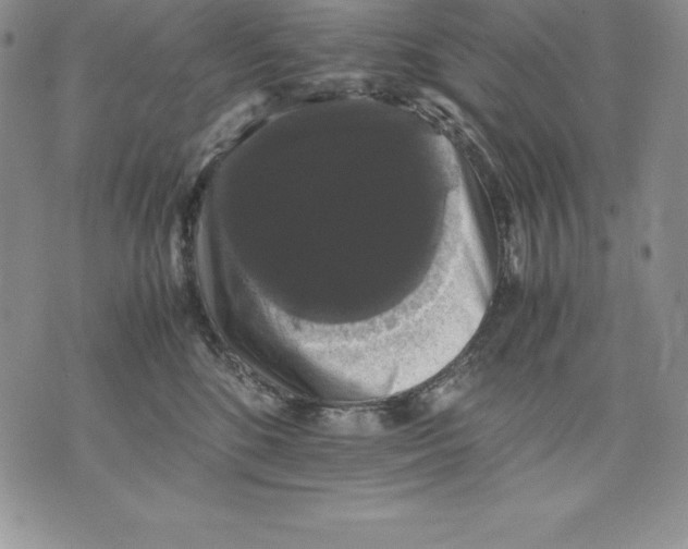 X0000071780520200607282241