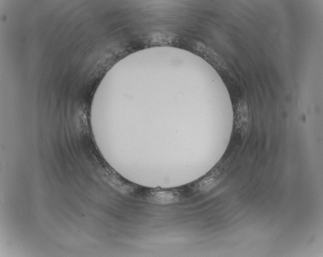 X0000071780522200607282241