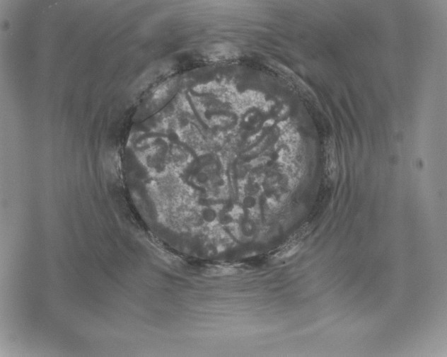 X0000071780523200607282241