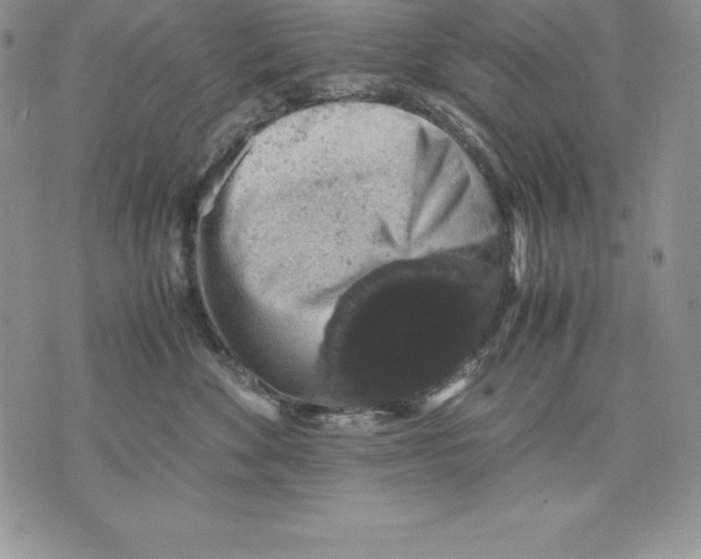 X0000071780524200607282241