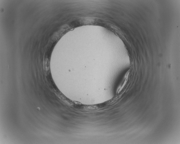 X0000071780525200607282241