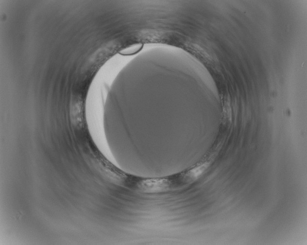 X0000071780526200607282241