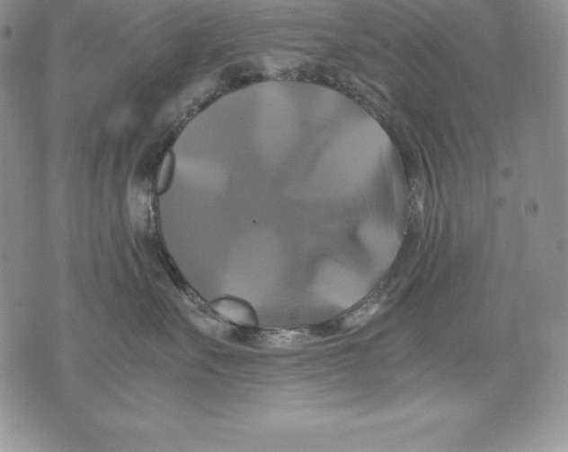 X0000071780527200607282241